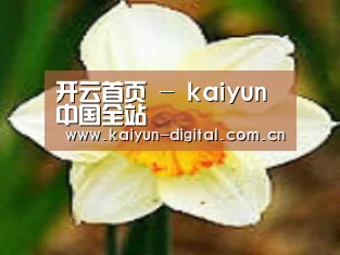 产品名称四