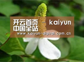 产品名称三