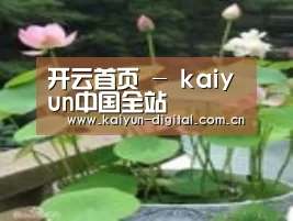 产品名称一