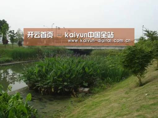 案例展示四