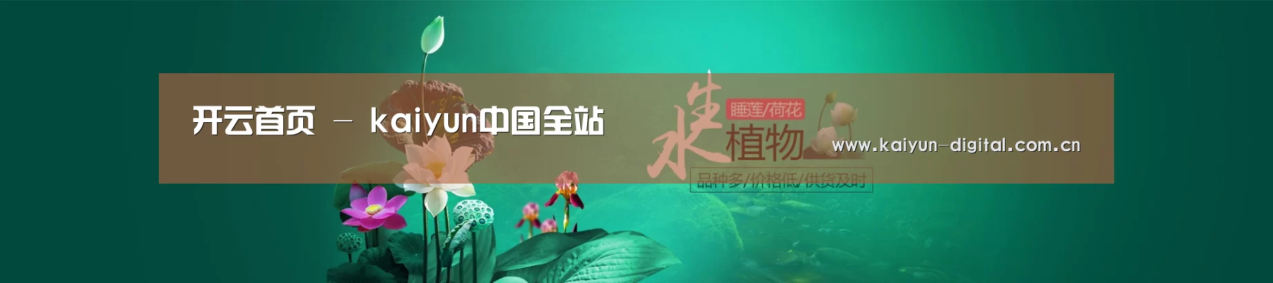 鲜花水草花卉网站模板